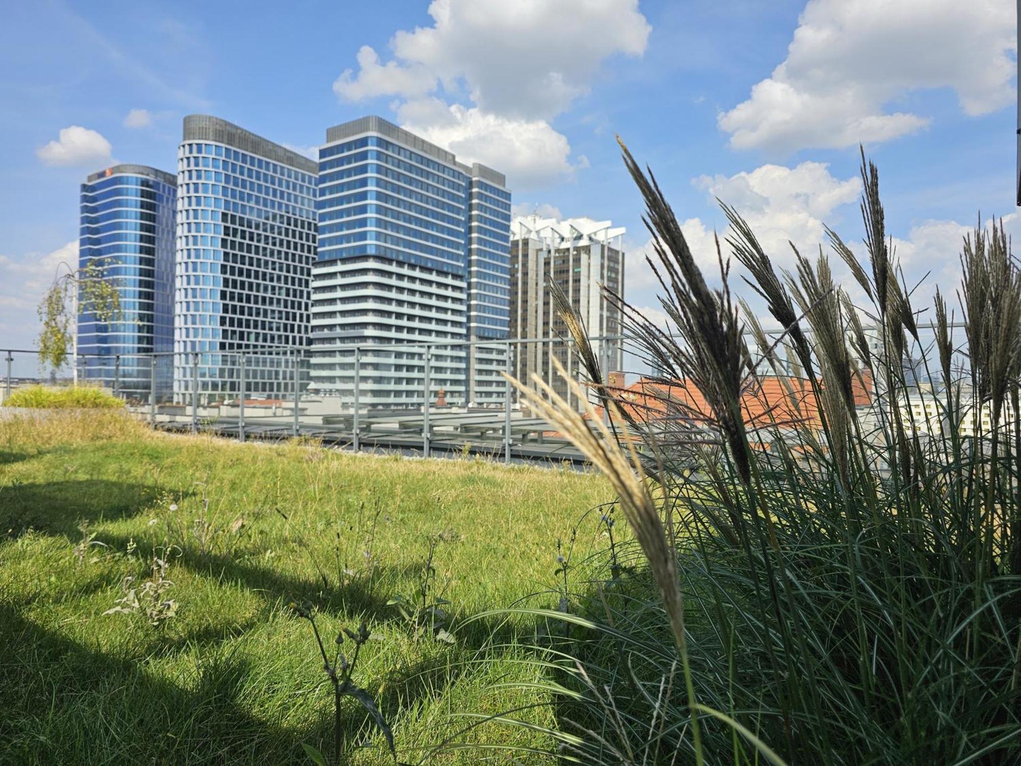 Urban Apartments Premium, Opolska 10 No 77A, Free Garage, Self Check-In Katowice Eksteriør bilde